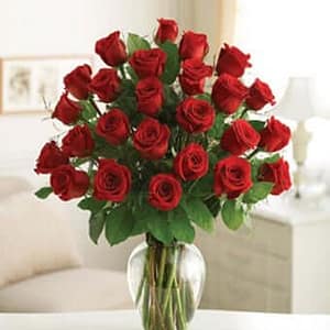 Two Dozen Roses - Local Florist