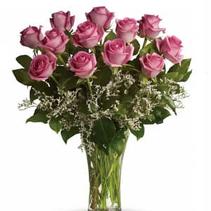 Lovely Pink Roses