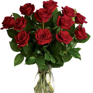 one dozen red roses