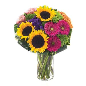 Bountiful Impressions