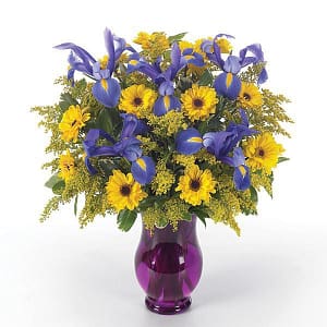 Sunny Garden Brilliance