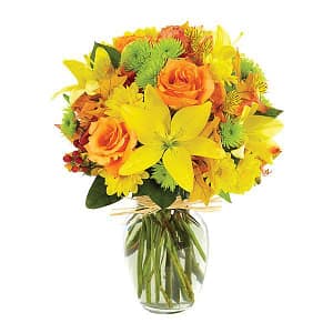 Cheery Harvest Wishes