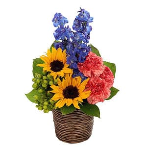Sunflower Fresh Field Bouquet