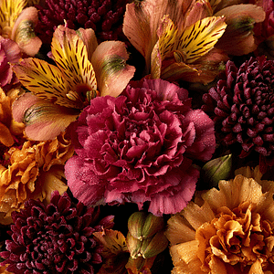 Autumn Harvest Designer’s Choice