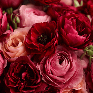 Romantic Reds & Pinks Designer’s Choice