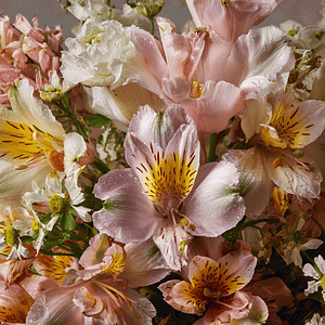 Spring Garden Florist Choice