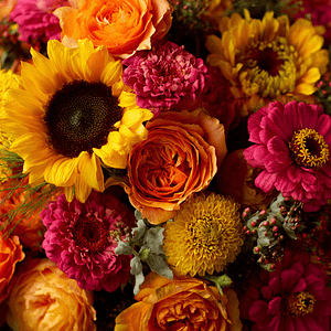 Summer Bloom Mix Designer’s Choice