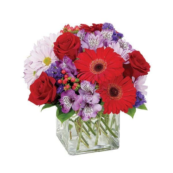 Just Rewards! Just Rewards!