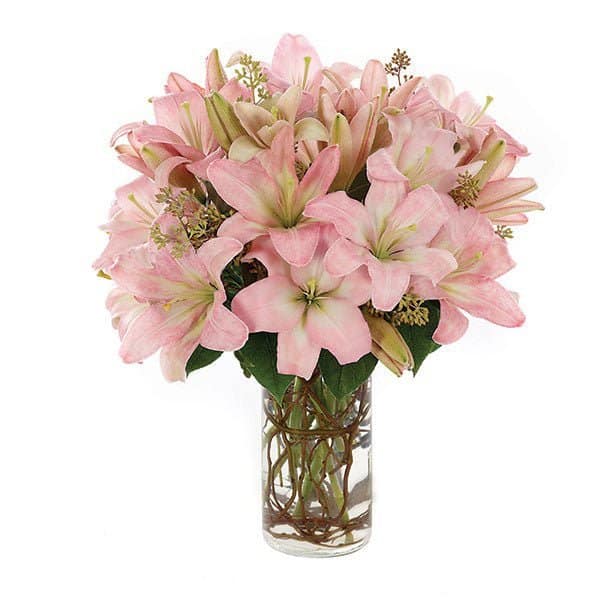 Simply Lily - Pink Simply Lily - Pink