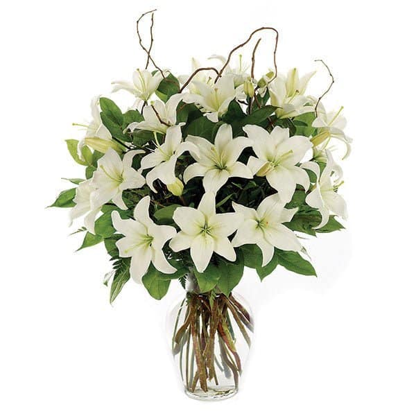 Loving Lilies - White Loving Lilies - White