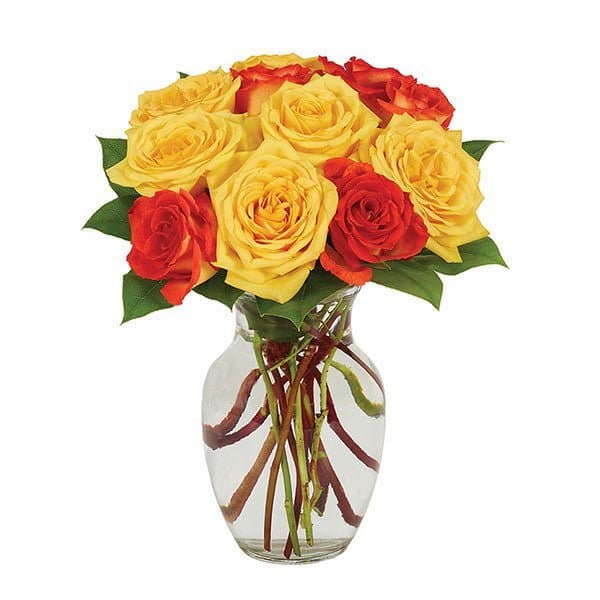 Yellow & Orange Rose Bouquet Yellow & Orange Rose Bouquet