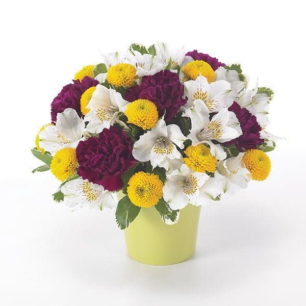 Forever Well Wishes Forever Well Wishes