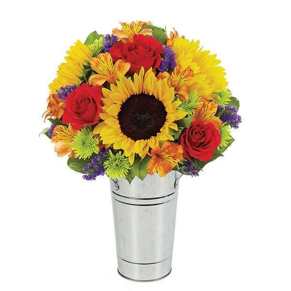 Sunflower Delight Sunflower Delight