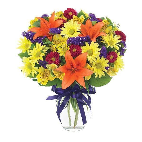 Today & Everyday Today & Everyday