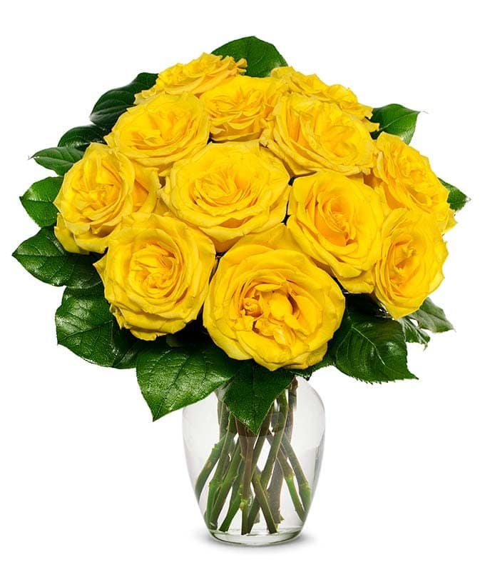 bouquet of solid yellow roses bouquet of solid yellow roses