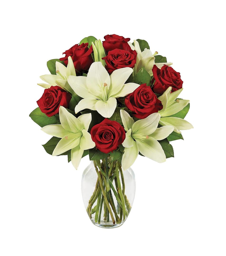 Rose & Lily Romance Rose & Lily Romance