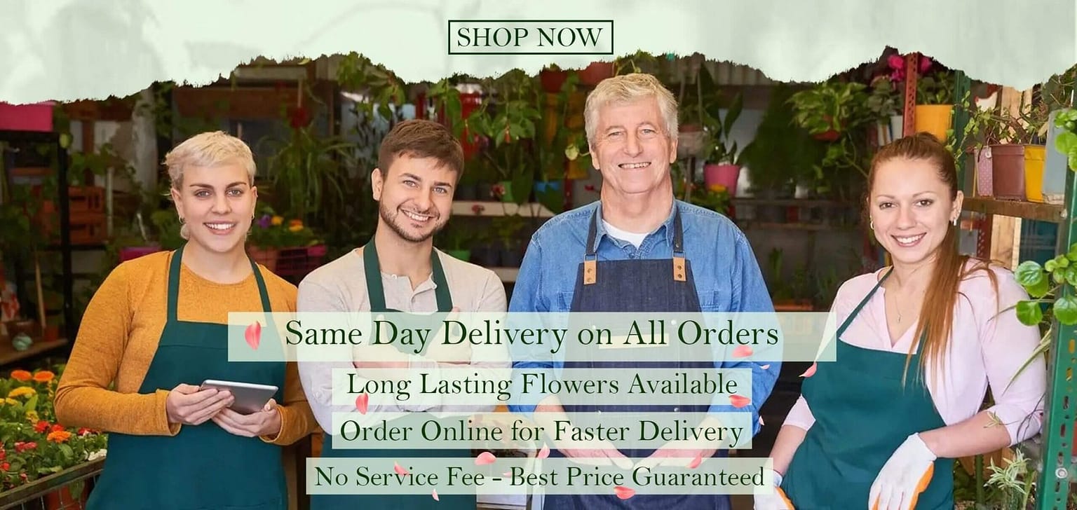 City Flower Shop - Discounted Flower Delivery Service