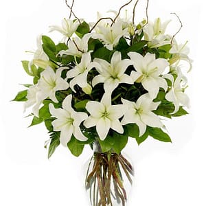 Loving Lilies - White