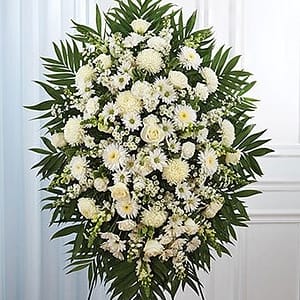 White Sympathy Standing Spray