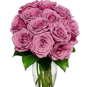 One Dozen Purple Roses