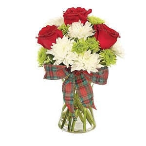 Holiday Plaid Celebration