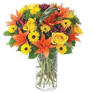 Autumn Sophistication