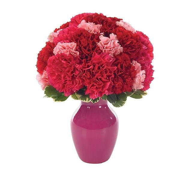 Contemporary Carnations Bud Vase Contemporary Carnations Bud Vase