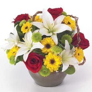 Warmest White Lily Wishes