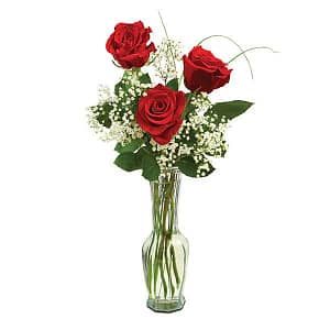Bud Vase Roses