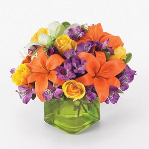 Joyful Blooms