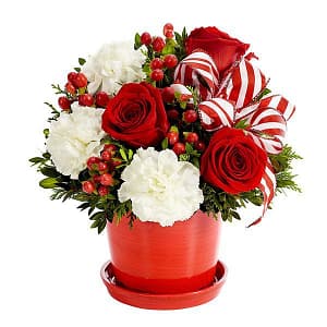 Peppermint Holiday Surprise