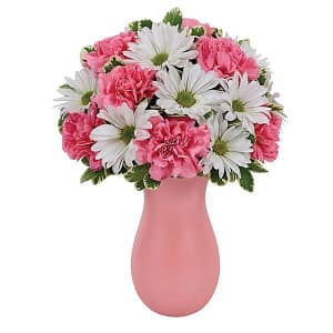 Daisy & Rose Delight
