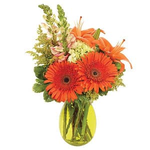 Blooming Splendor