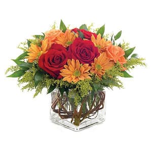 Autumn Surprise