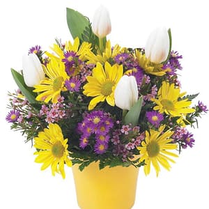 Sunshine and Tulips