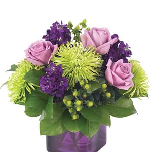 Purple Present