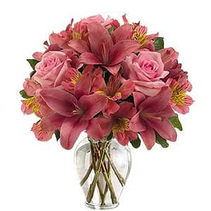 Pink in Bloom