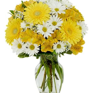Daisy a Day Bouquet