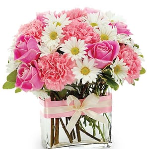 Pink on White Flora