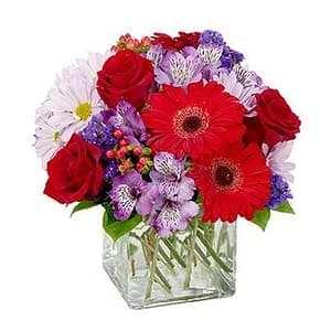 Red & Purple Brilliance