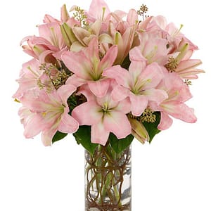 Stunning Pink Lilies