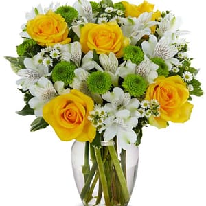 Lovely Lemon & Lime Roses