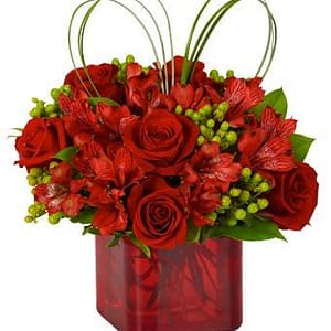 Luxury Red Romance