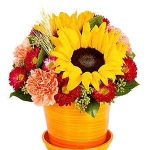 Sweet Sunflower Bouquet