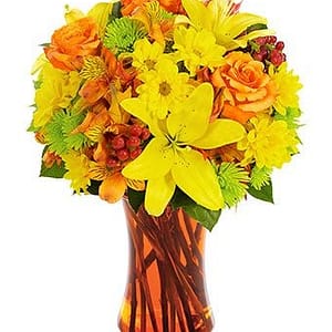 Orange Fall Goodness