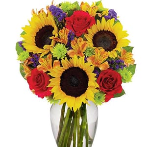 Sunflower Delight