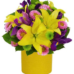 Shimmering Summer Surprise