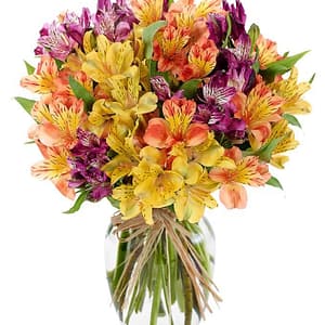 Bouquet of colorful Peruvian lilies