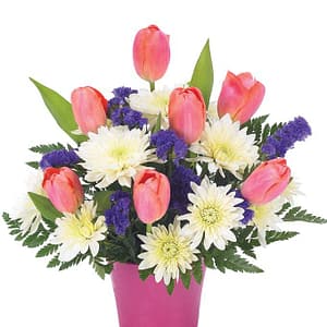 Tulip Delight