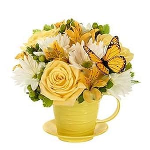 Cup of Sunshine